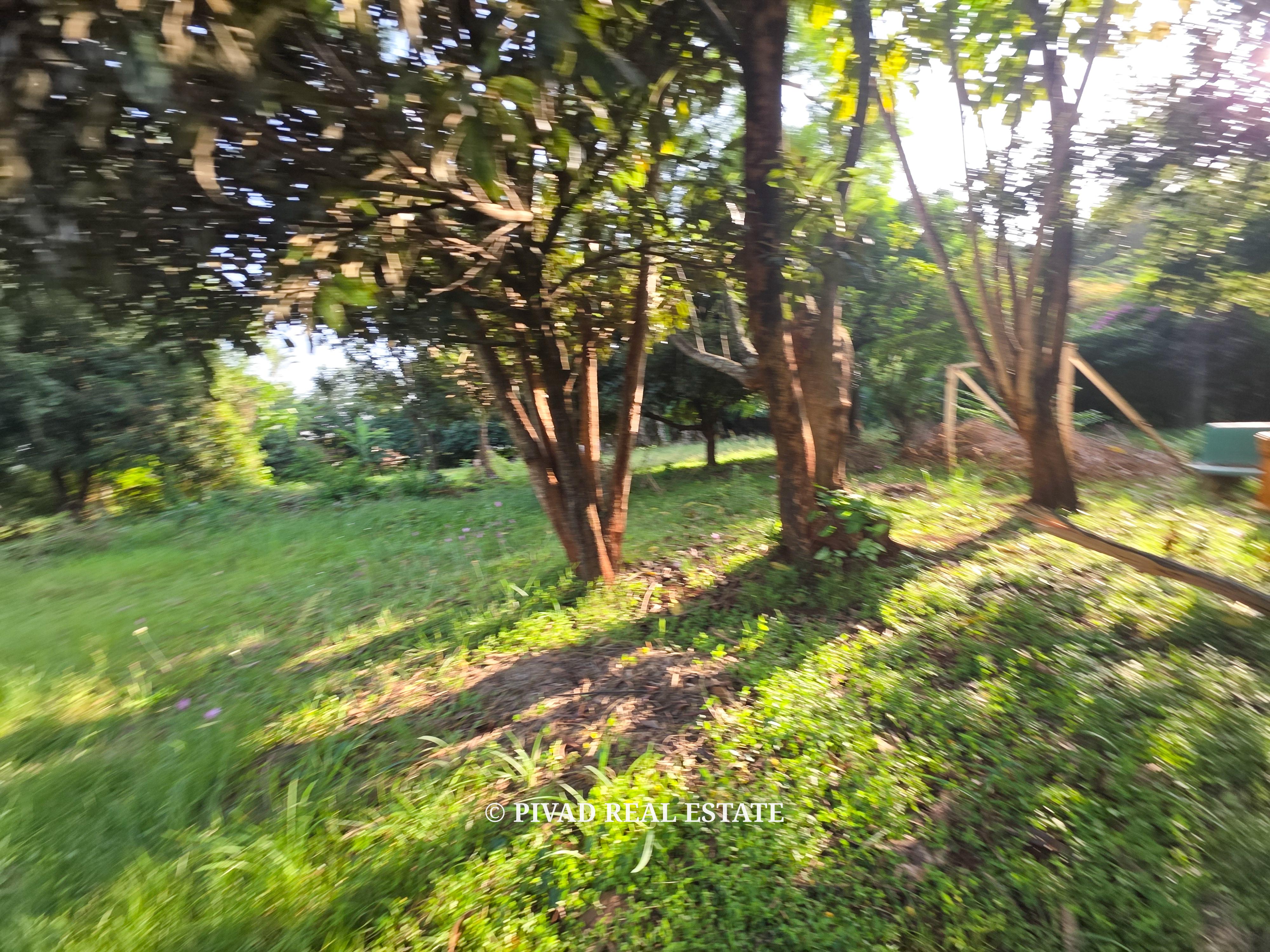 1.1 acre land available for Sale in Runda Mimosa