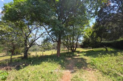 20 Acre land Available for Joint Venture in Karen off Marula lane