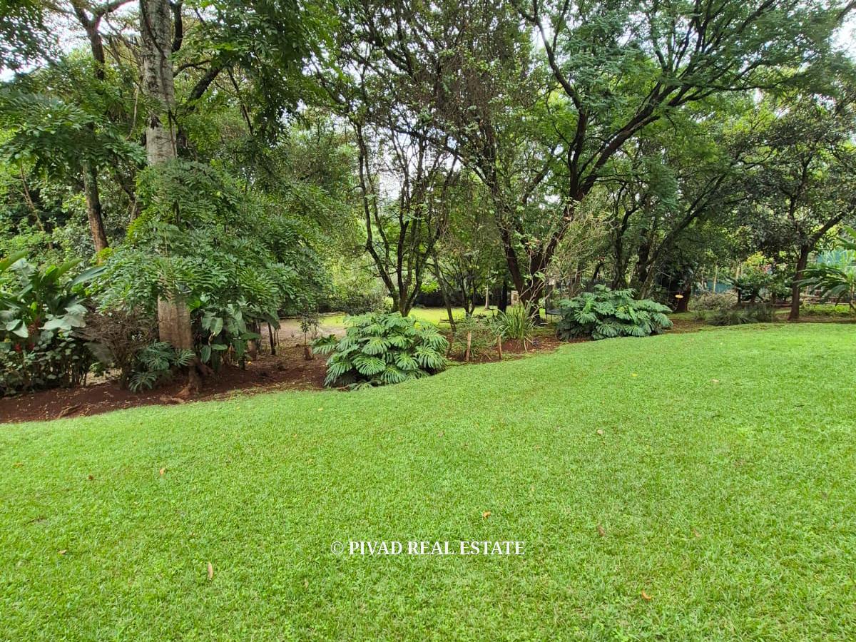 4.3 Acre Land Available For Sale - Old Muthaiga