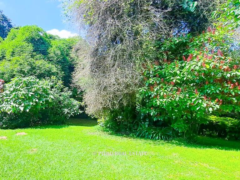 4-Bedroom Standalone Bungalow For Rent in Muthaiga