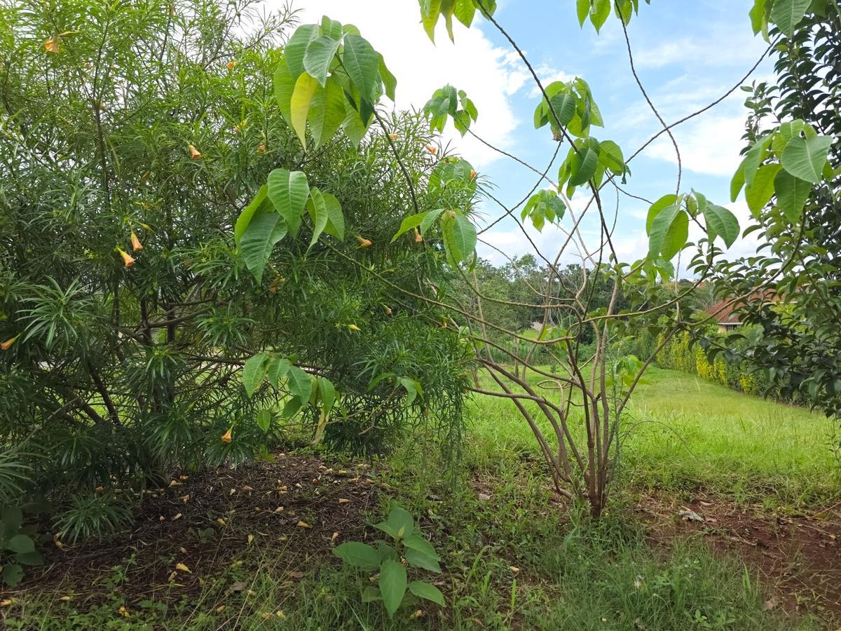 Half Acre available for sale in Country Side Muthaiga North