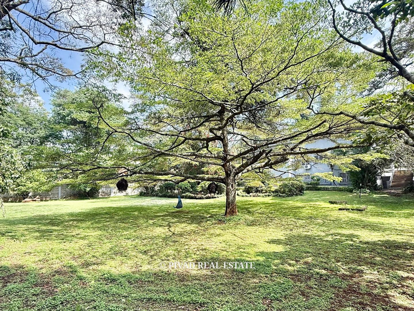 4 Bedroom House, All En-suite with a Dsq For 2 For Sale - Old Muthaiga