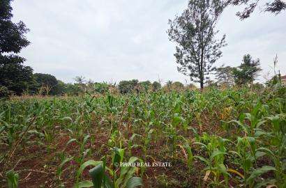Half acre land available for Sale in Runda