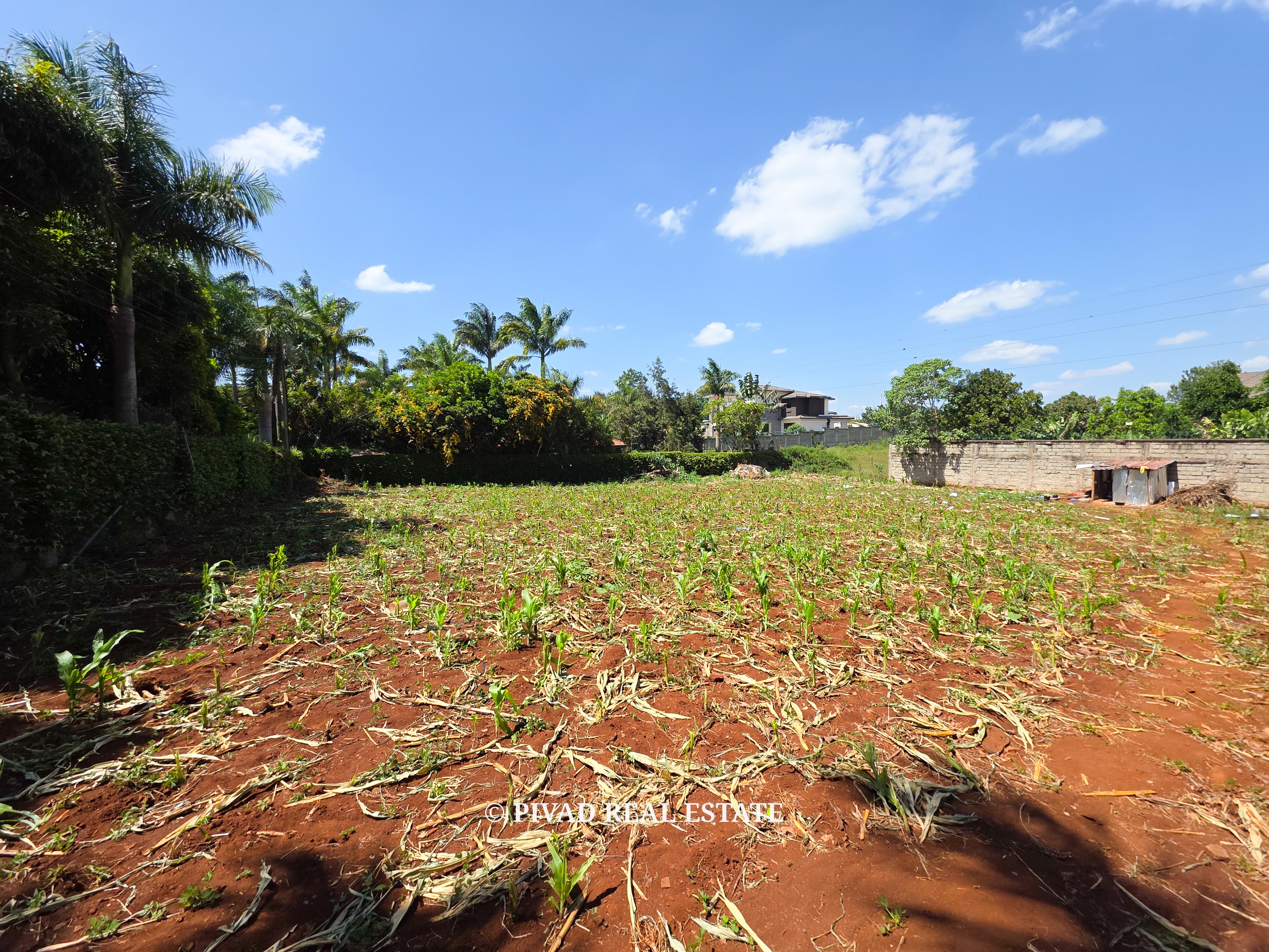 Half acre land available for Sale in Runda along Havana Road