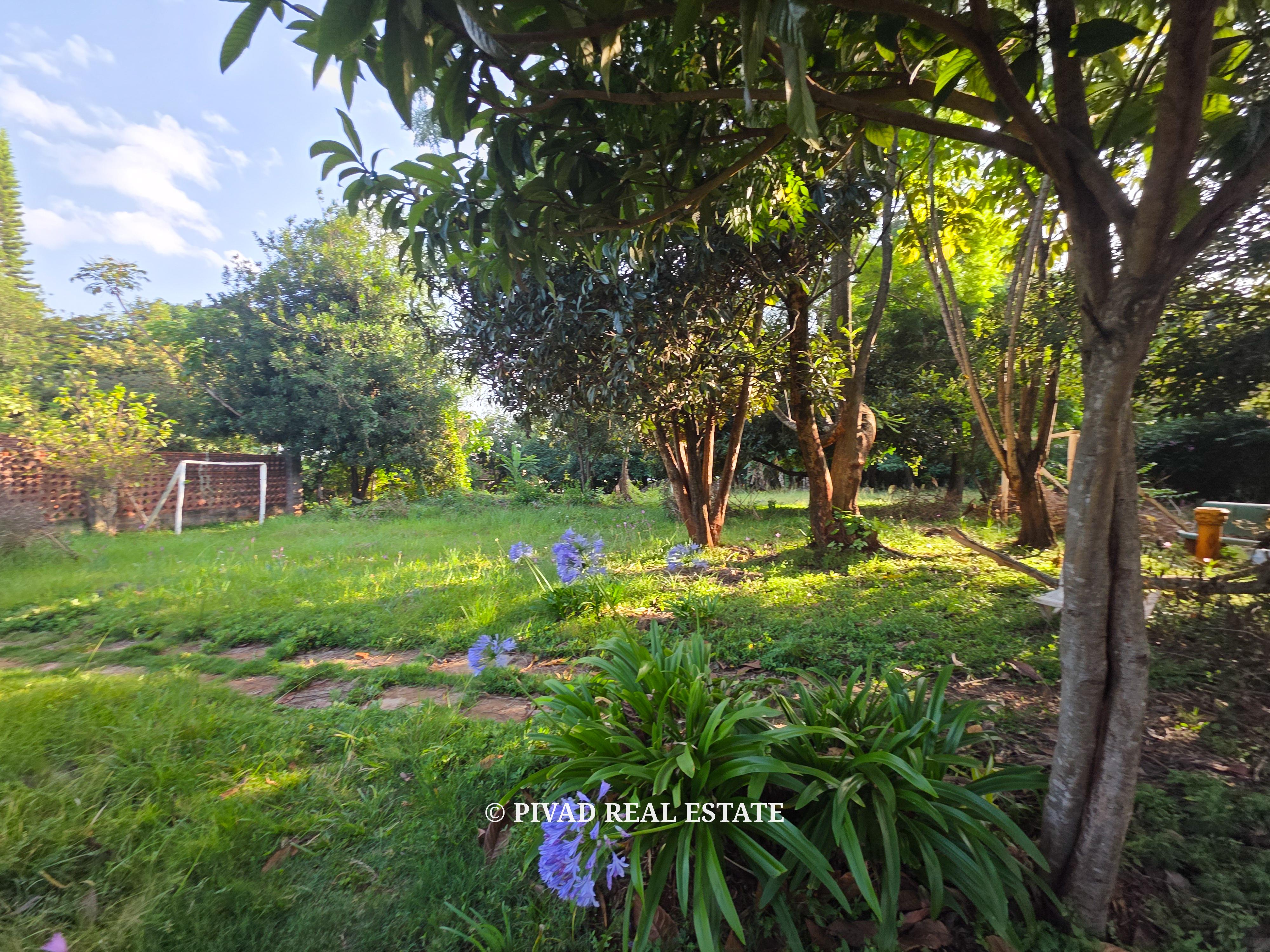 1.1 acre land available for Sale in Runda Mimosa