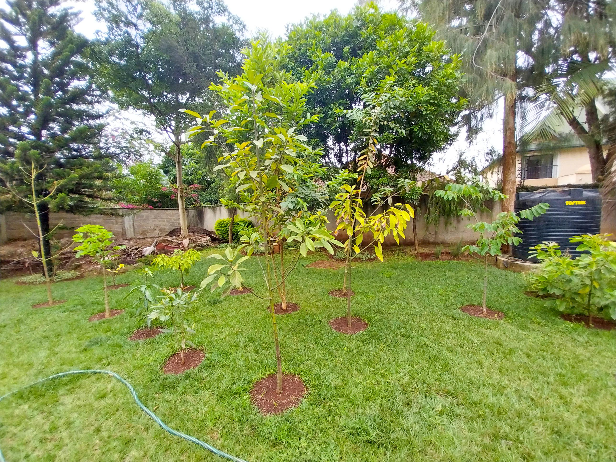 5 Bedroom House on Quick sale in Runda Mimosa