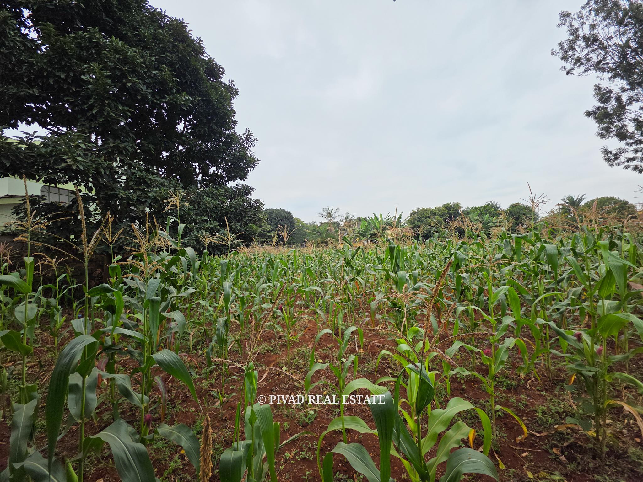 Prime Half-Acre Land for Sale in Runda Riviera gated estate. Selling at 55M