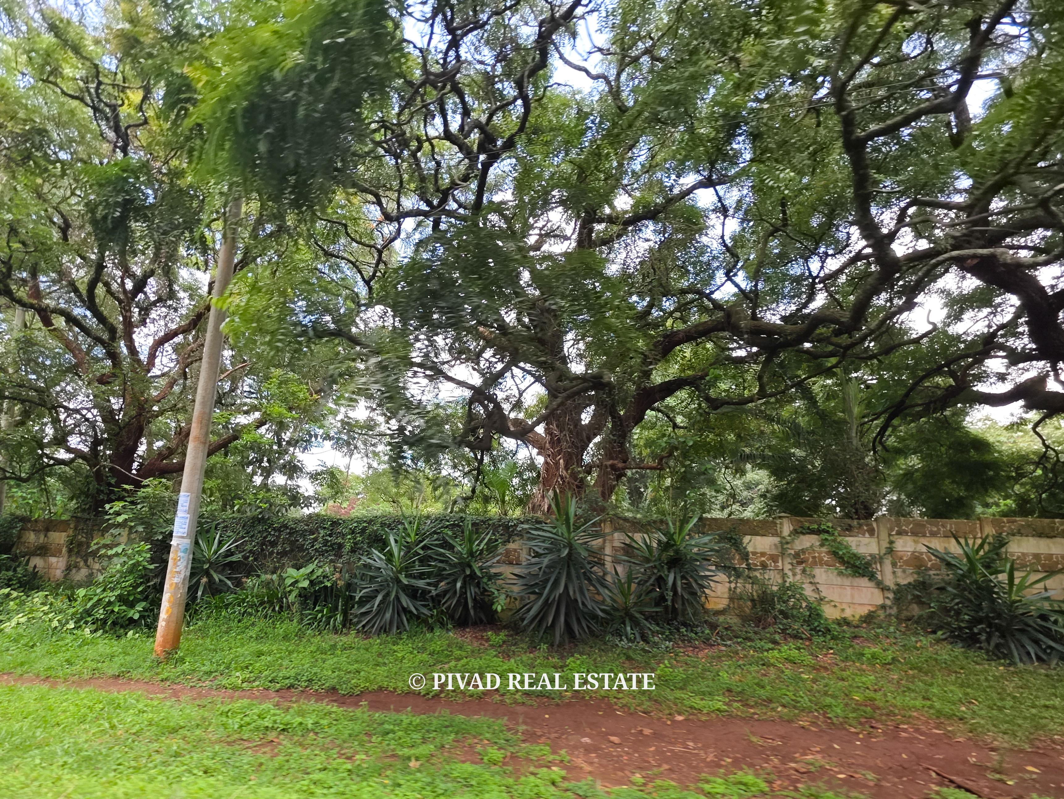 2 Acres Flat Land for Sale in Lower Kabete