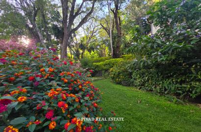 1 Acre Prime Property in Old Muthaiga