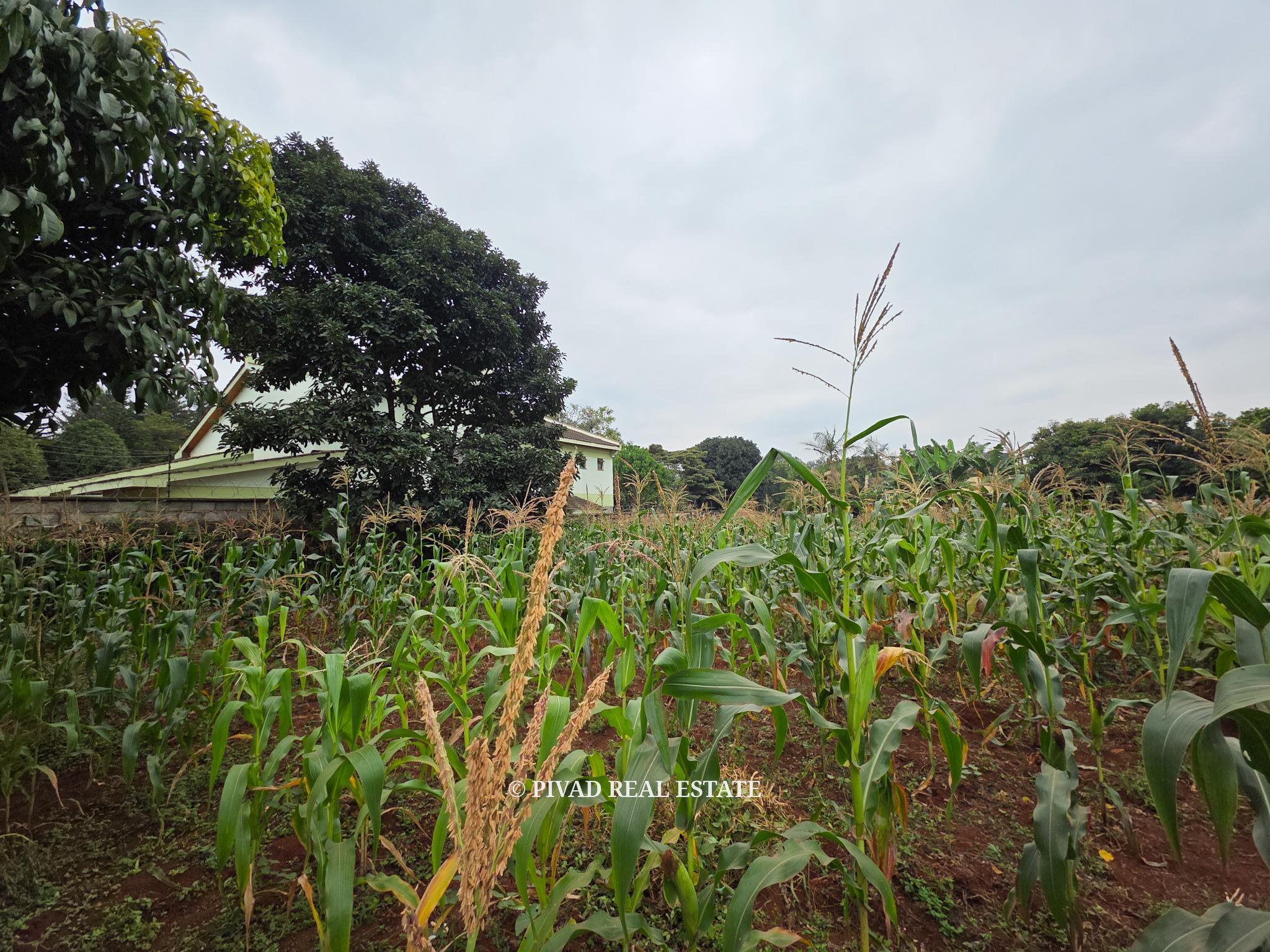 Prime Half-Acre Land for Sale in Runda Riviera