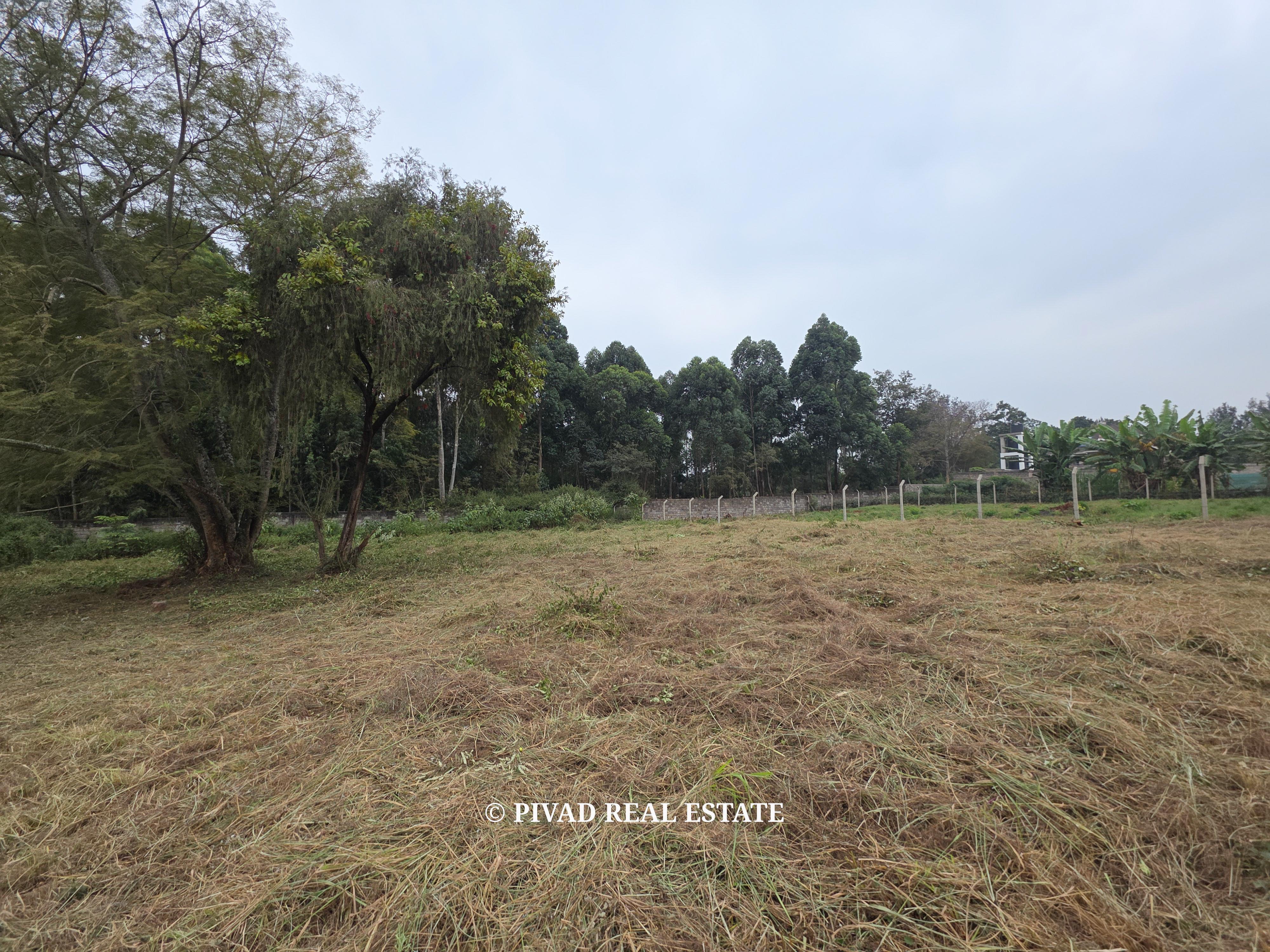 Half Acre Plot for Sale in Garden Court, Garden Estate