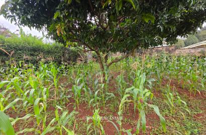 Prime Half-Acre Land for Sale in Runda Riviera gated estate. Selling at 55M