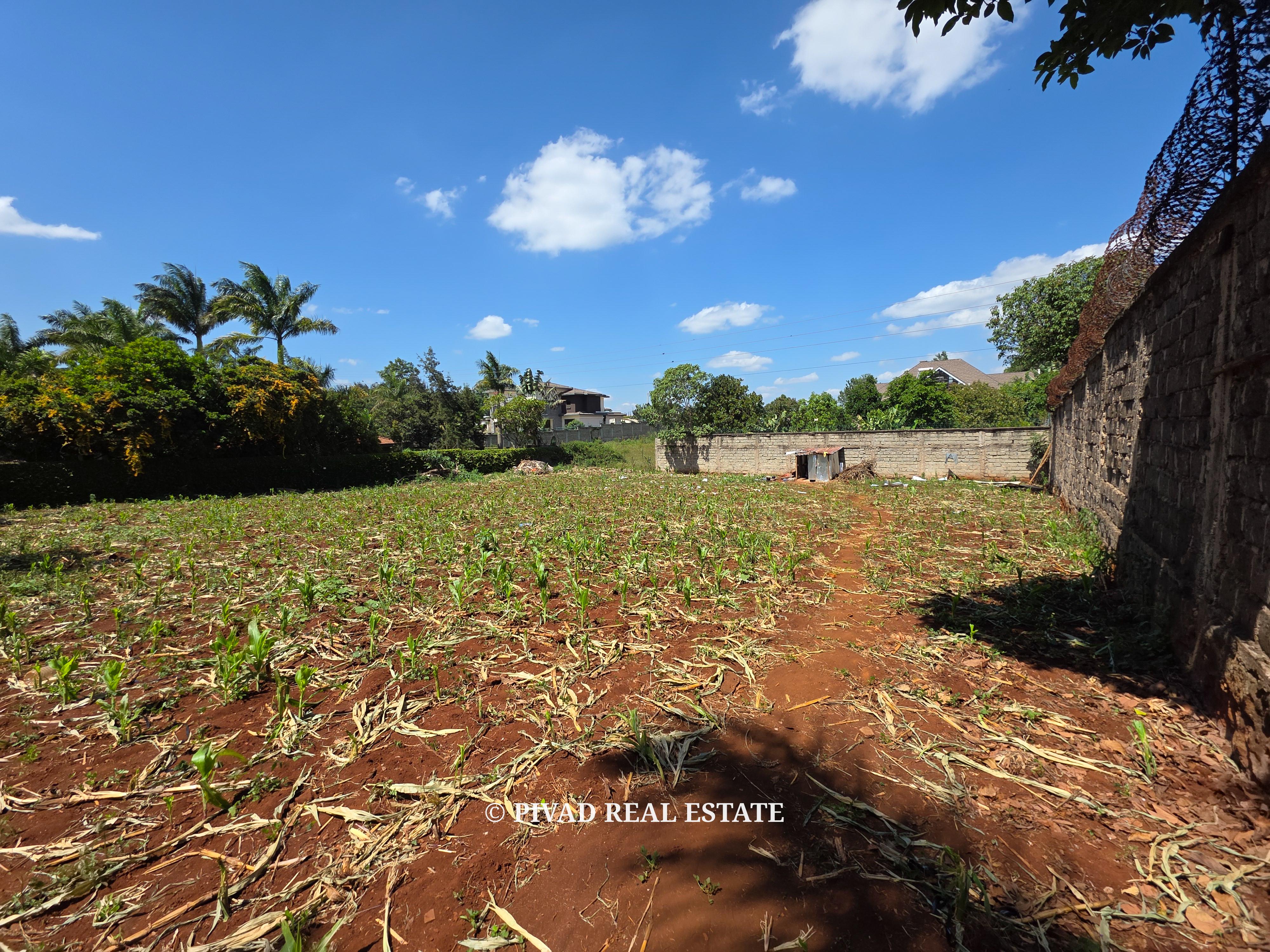 Half acre land available for Sale in Runda along Havana Road