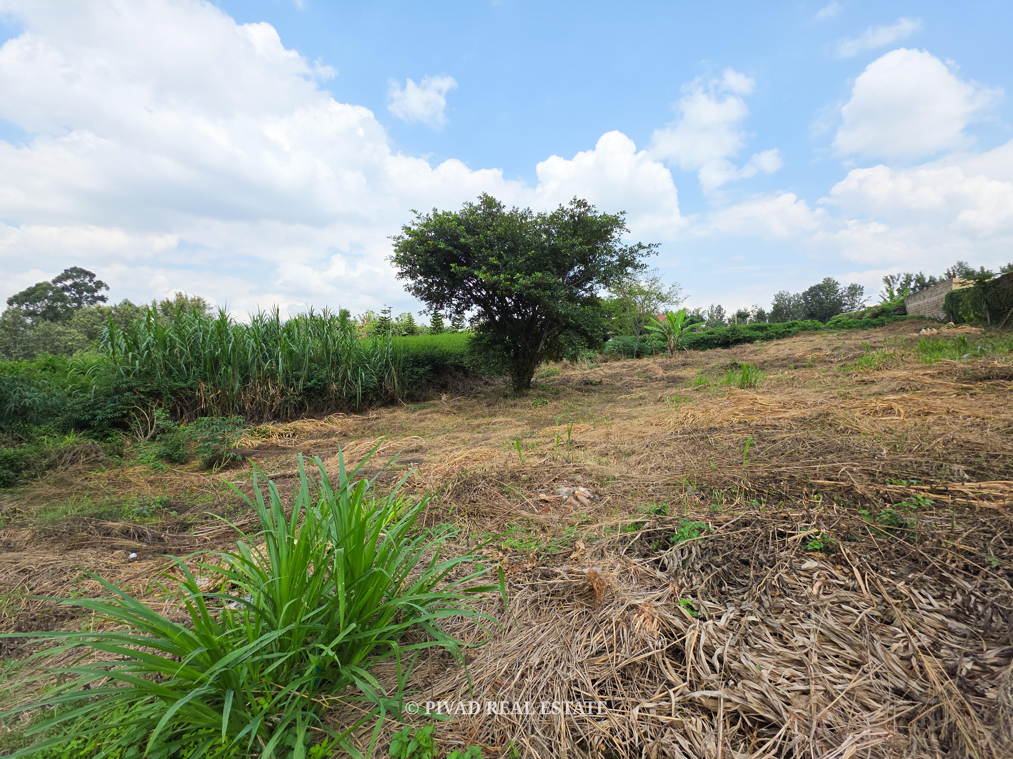 Half acre Land For Sale In Mushroom Gardens, Kiambu Road