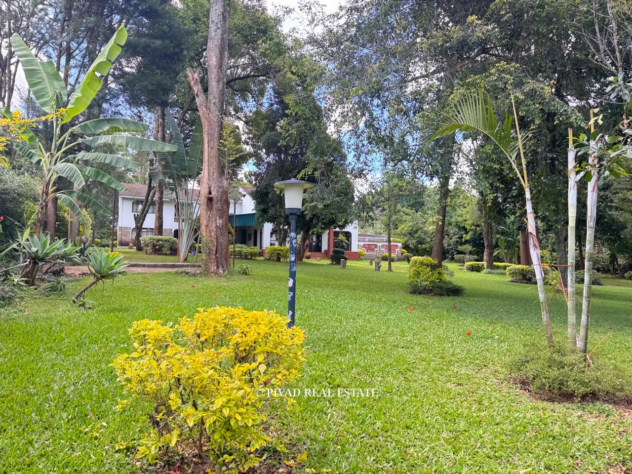 5 bedroom house built on one acre land available for Sale in Runda Mimosa
