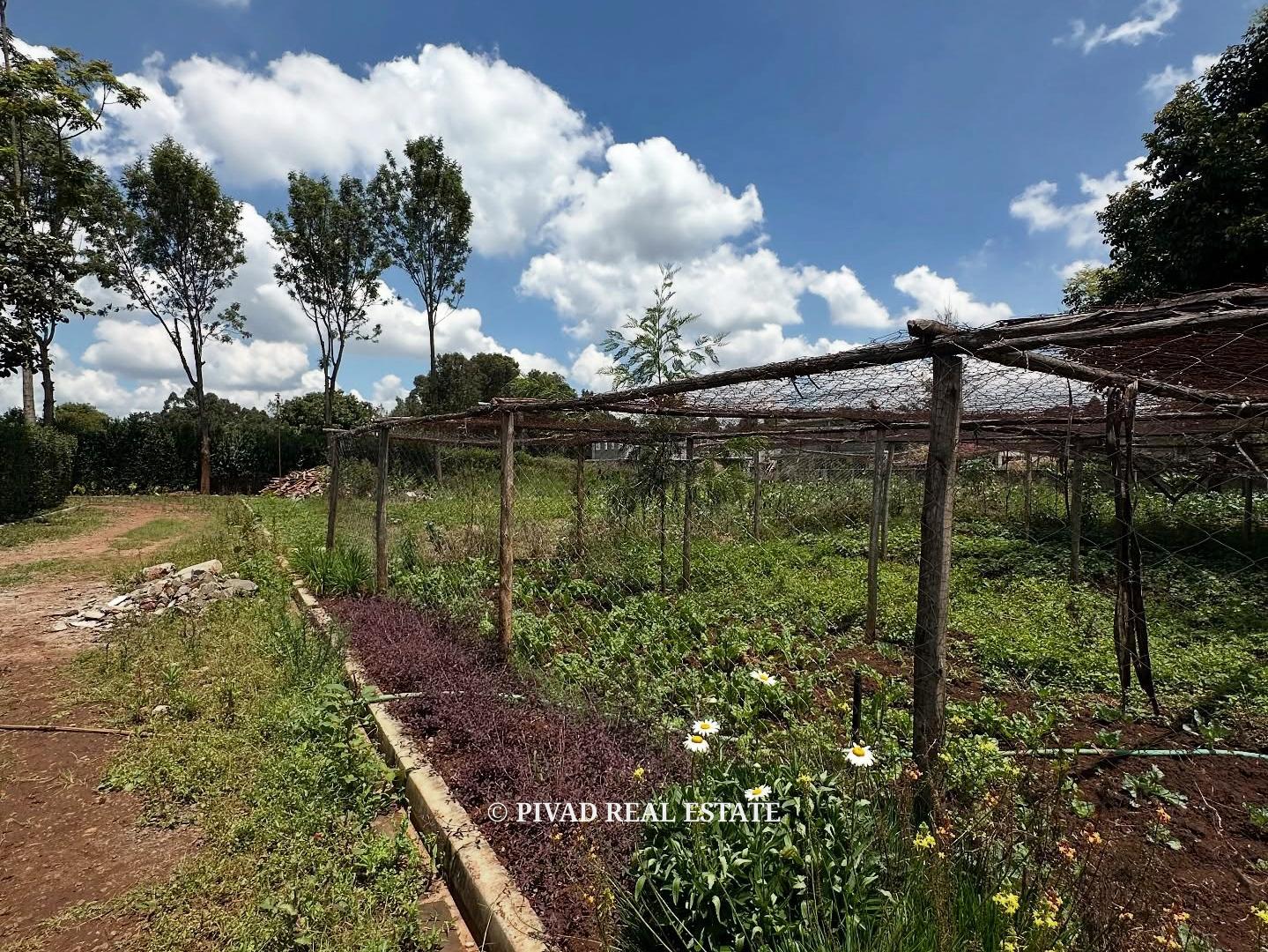 Half acre for Sale in Karen Windyridge